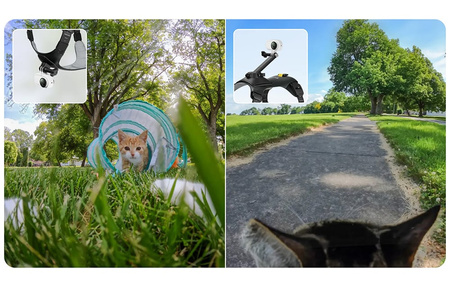 Insta360 Pet Harness Mount Size M | szelki dla zwierząt do montażu kamer