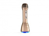 iDance PM 6 - Bluetooth microphone