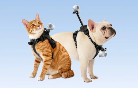 Insta360 Pet Harness Mount Size M | szelki dla zwierząt do montażu kamer
