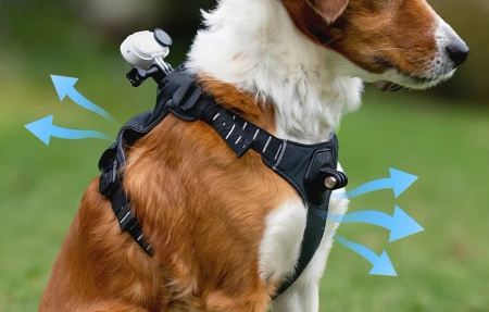 Insta360 Pet Harness Mount Size M | szelki dla zwierząt do montażu kamer