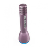 iDance PM 71 - Bluetooth microphone