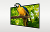 Projection screen BlitzWolf BW-VS4 100"