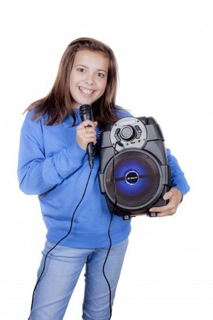 iDance Groove 200X - głośnik Bluetooth 100W
