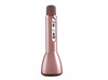 iDance PM 60 - Bluetooth microphone