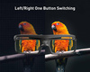 Dangbei okulary 3D z łączem DLP