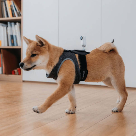 Pet Strap Mount Insta360 GO 2