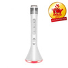 iDance PM 10 - Bluetooth microphone