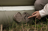HOTO QWOGJ003 self-inflating mattress