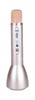 iDance PM 60 - Bluetooth microphone