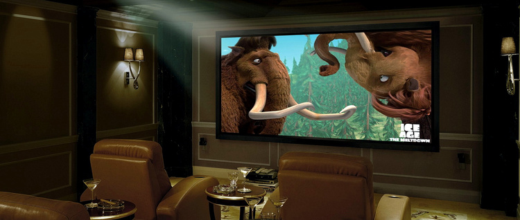 Taurus Slim ALR Projection Screen