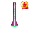 iDance PM 10 - Bluetooth microphone