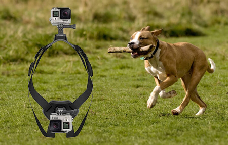Puluz PU156 | Attachment to the dog's back for sports cameras