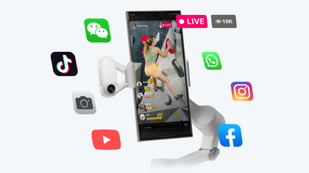 Insta360 Flow 2 (Stone Gray)