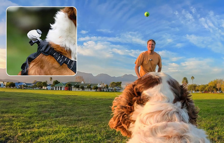 Insta360 Pet Harness Mount Size M | szelki dla zwierząt do montażu kamer