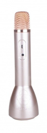 iDance PM 60 - Bluetooth microphone