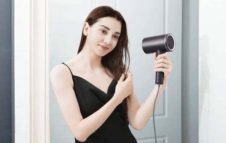 ZHIBAI HL350 ionization dryer (black)