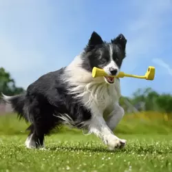 Insta360 GO 3 Fetch Stick - Zabawka dla psa z mocowaniem na kamerę Insta360 GO 3